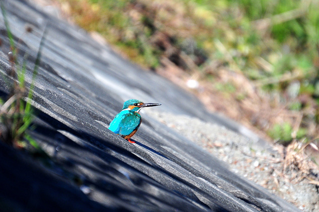 ���܎���2