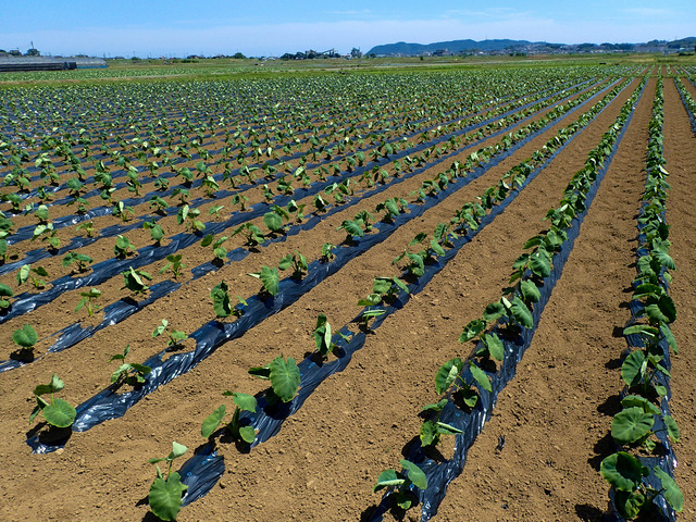 �����10