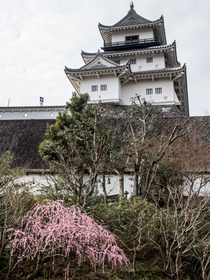 kakegawa19