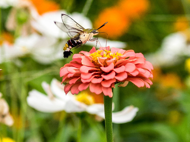 �����������ʎ�2