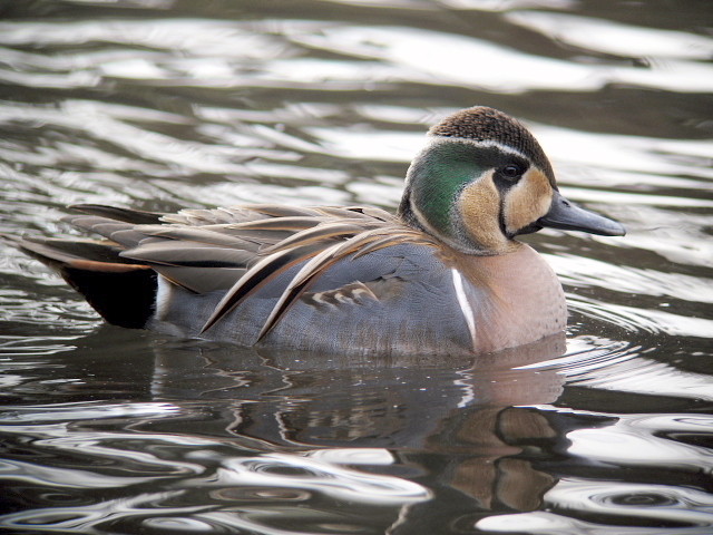 �ȥ⥨����7