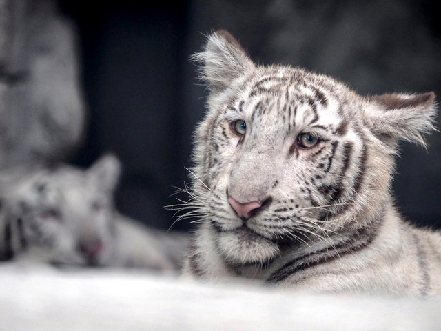 �Ύ܎��Ď������ގ�07