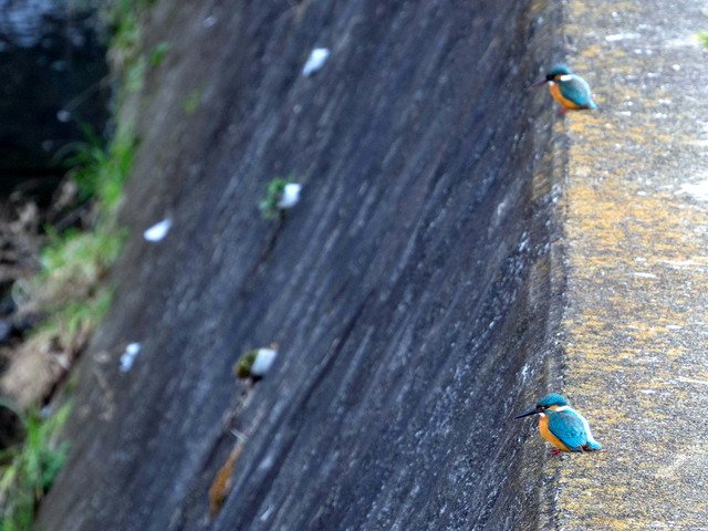 ���܎���1