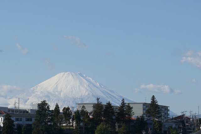 m26
