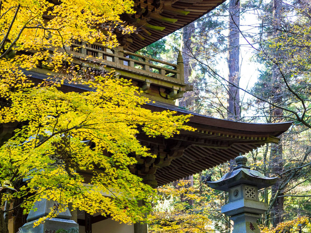 最乗寺02