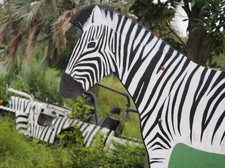 ����ưʪ����11