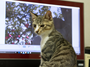 ���ͤ���11