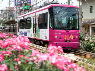 ���Ź�����3