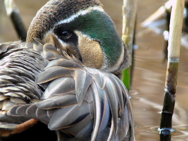 �ȥ⥨����10