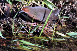 �ˎ�����2