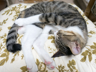 ���ͤ���16