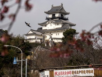 kakegawa4