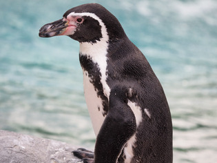 �̎ݎΎގَĎ͎ߎݎ��ގ�02