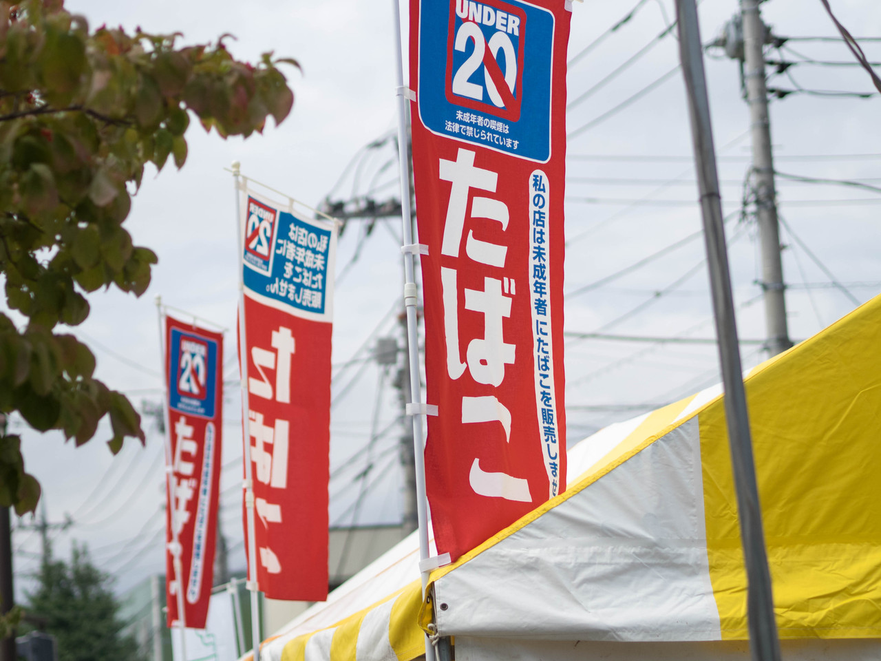 秦野たばこ祭り 16 幸せの鳥を探して