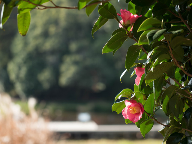 �������1