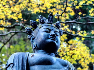 最乗寺28