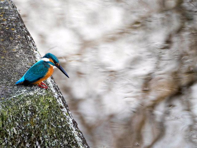 ���܎���26