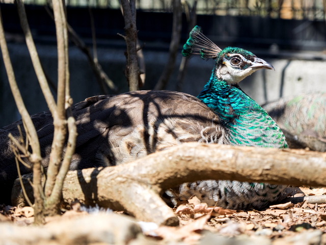 �����ގ���1