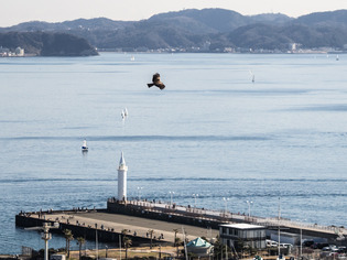江ノ島10