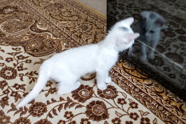 �ߥߤ����19