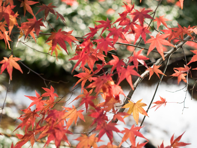 �������5