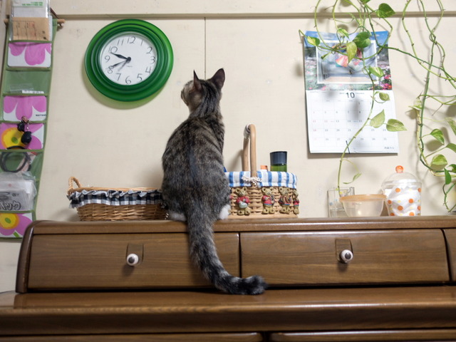 ���ͤ���01