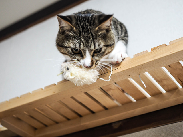 ���ͤ���2