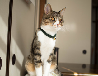 ���ͤ���2