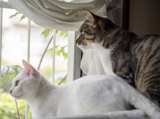 ���ͤ�����03