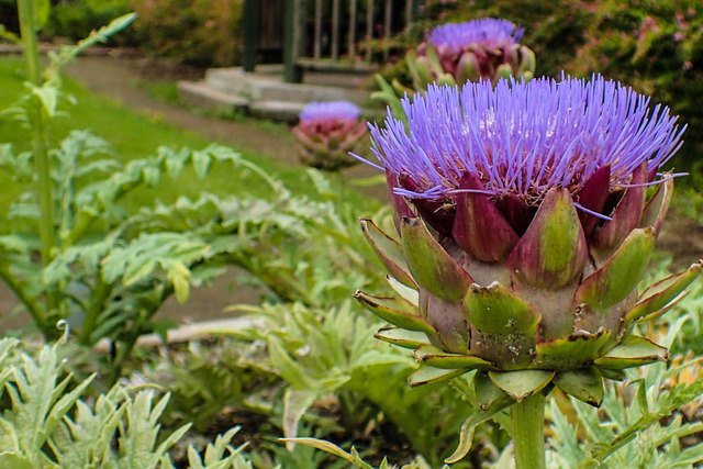 �����Î���������2