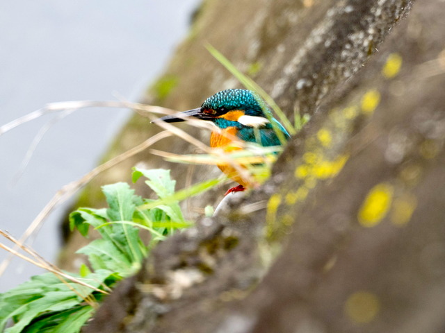 ���܎���10