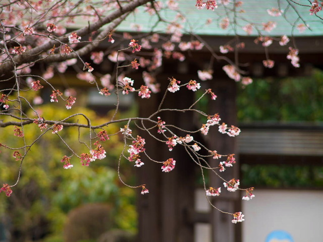 ������16