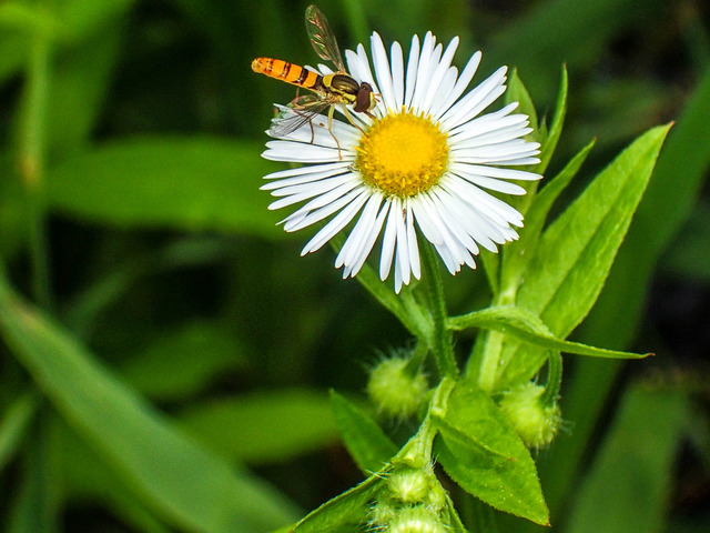 ���؎��ގێ�3