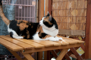 ��������8