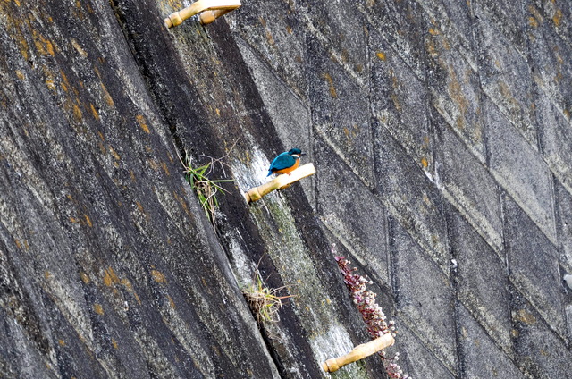 ���܎���24