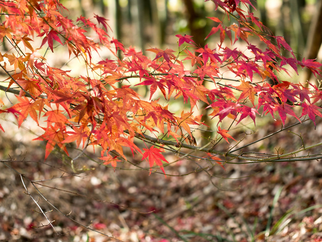 �������4