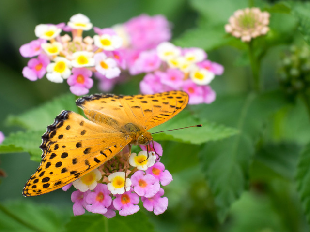 �ώ��ގێˎ����ӎ�3