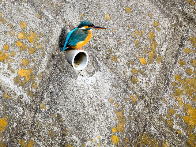 ���܎���8