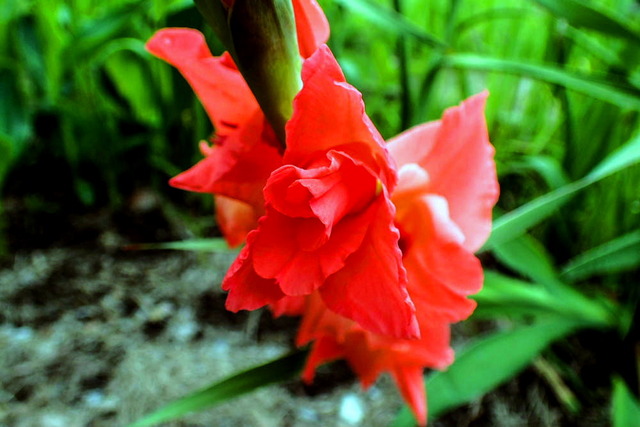 ���ގ׎��ގ��׎�3