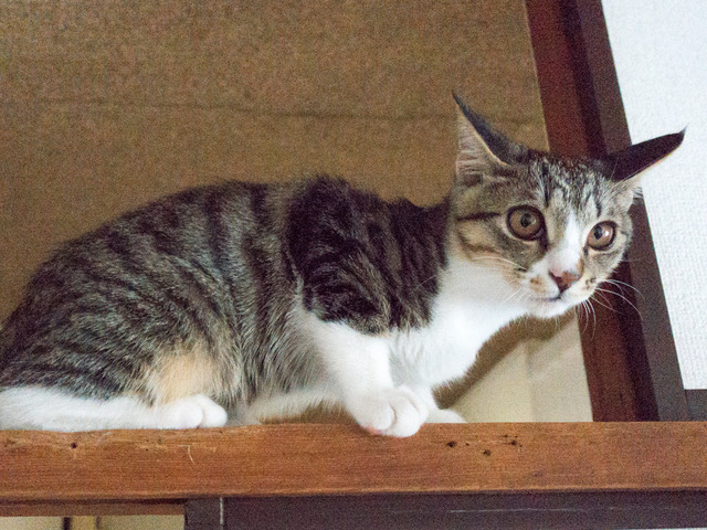 ���ͤ���02