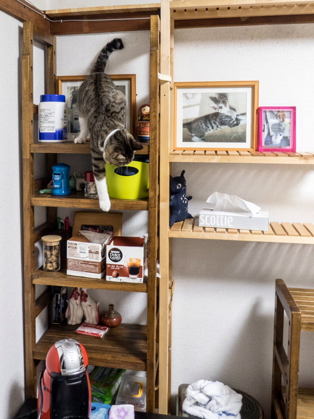 ���ͤ���12