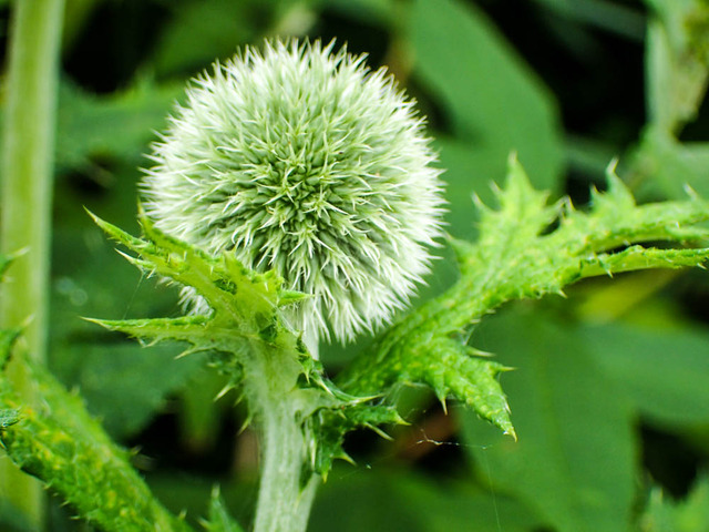 �����ɎΎߎ�2