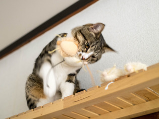 ���ͤ���02014