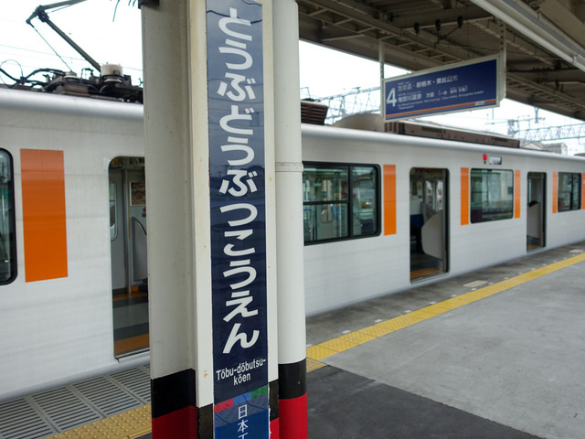 ����ưʪ����01