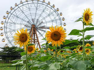 ������02