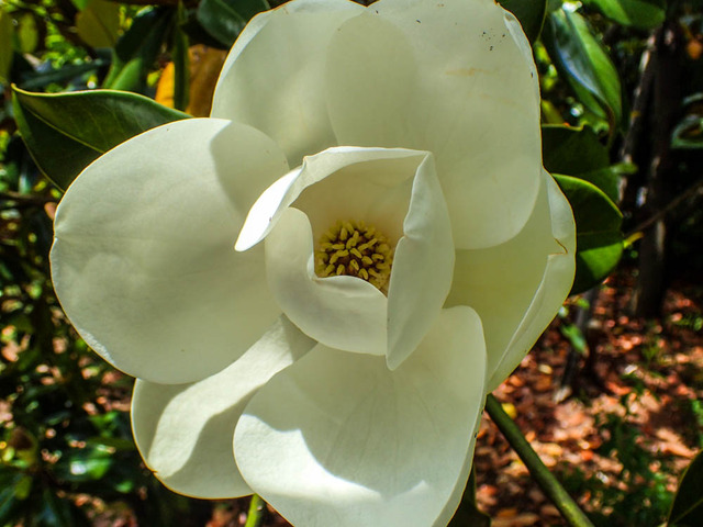 ��������ܥ�4