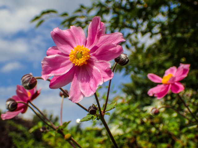 �������Ҏ����ގ�