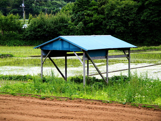散歩道10