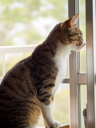 ���ͤ���01