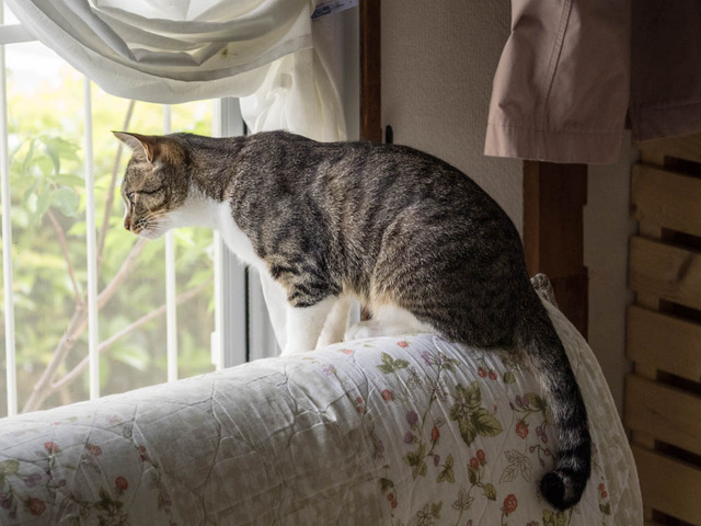 ���ͤ���13